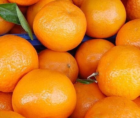 Casca de laranja